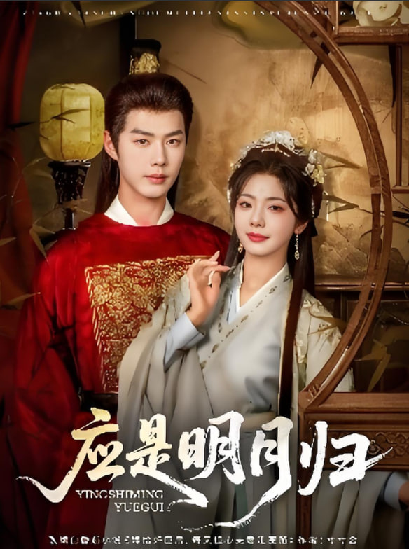 应是明月归封面图