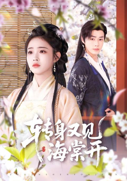 转身又见海棠开封面图