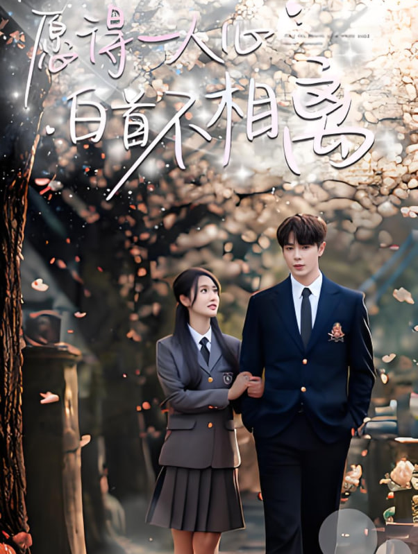 愿得一人心白首不相离封面图