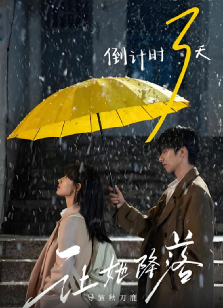 让她降落封面图