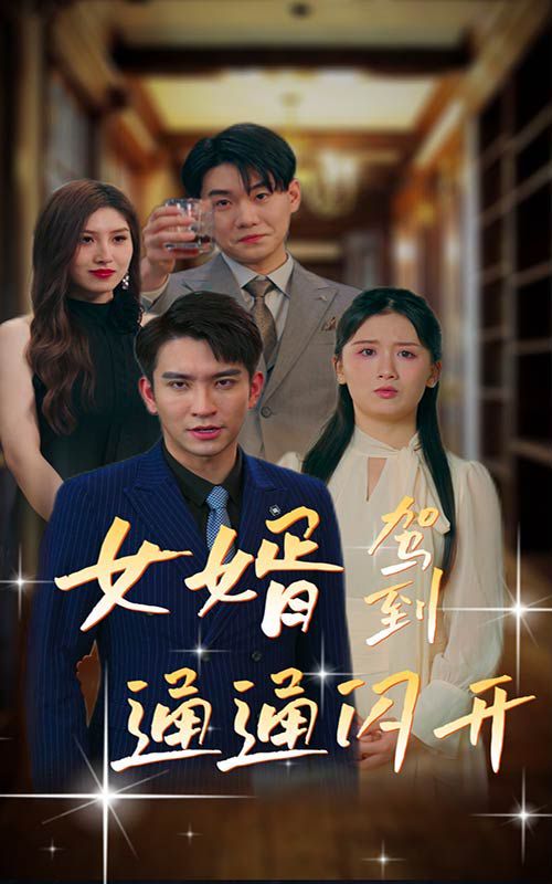 女婿驾到通通闪开封面图