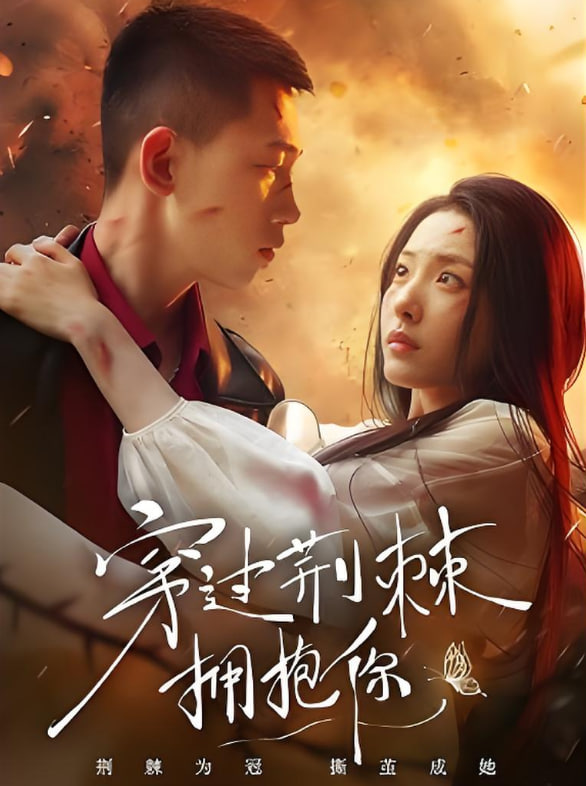 穿过荆棘拥抱你封面图