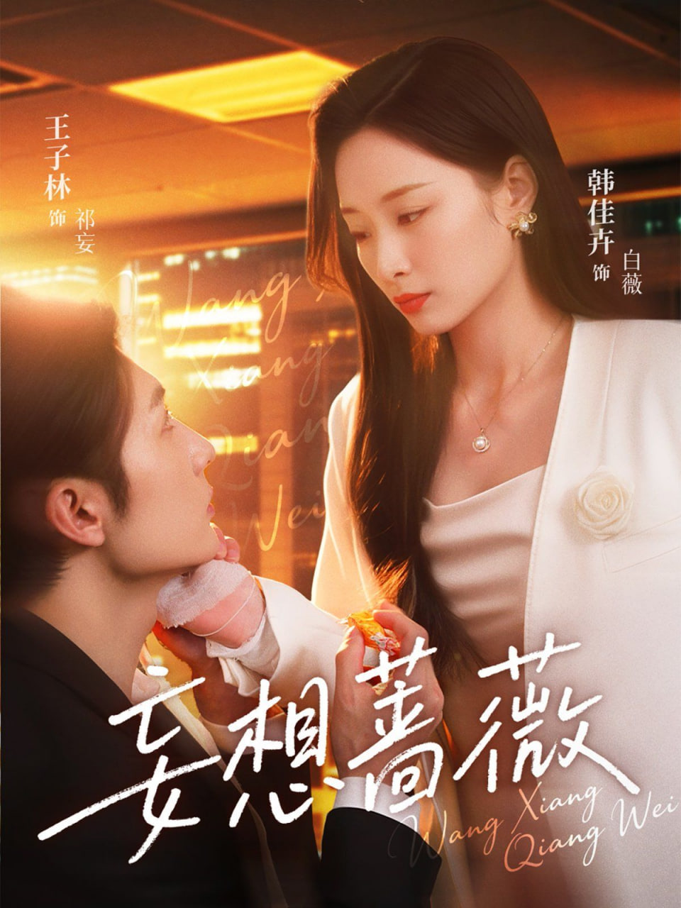 妄想蔷薇封面图