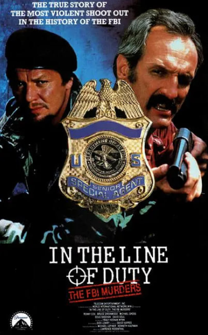 赤胆追凶封面图