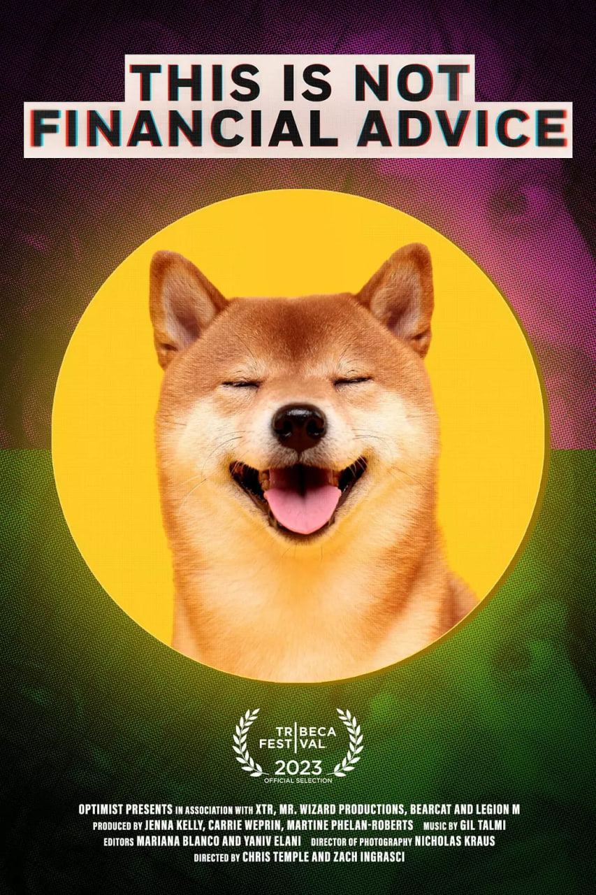 这不是财务建议封面图