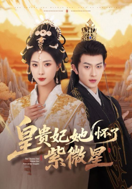 皇贵妃她怀了紫薇星封面图