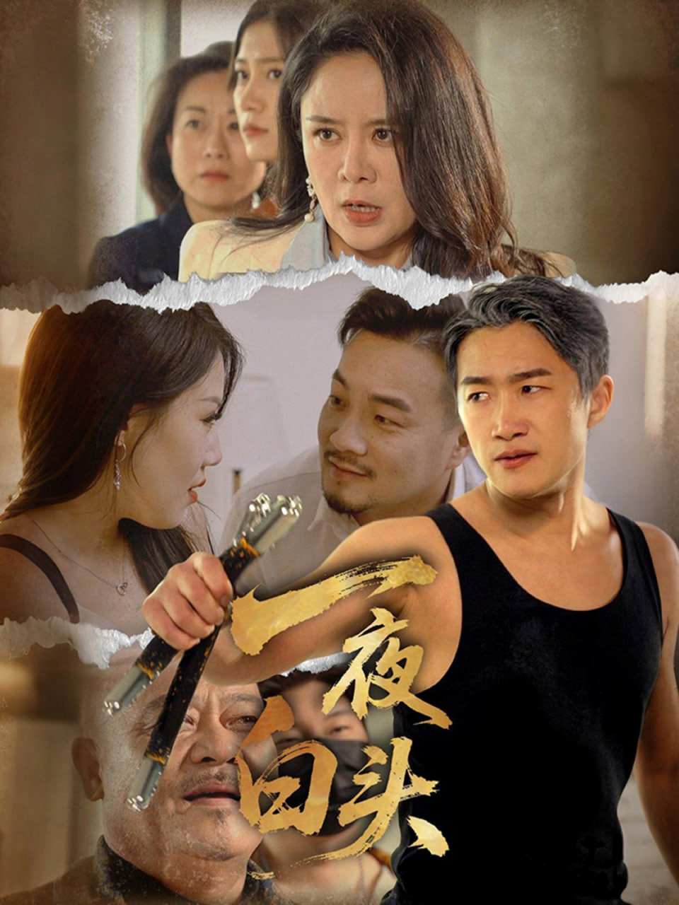 一夜白头封面图