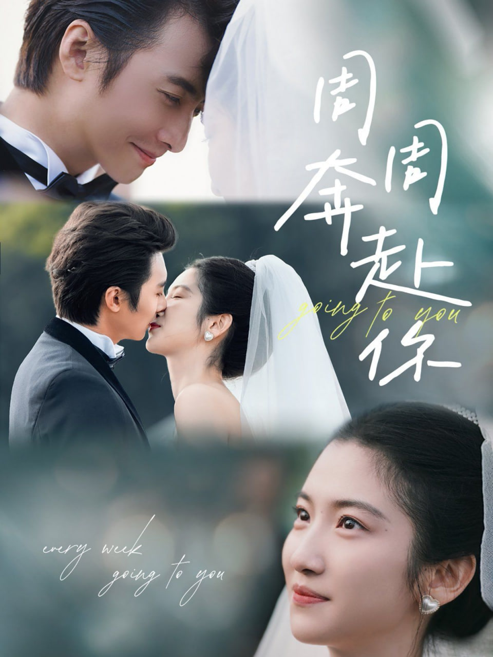 周周奔赴你封面图