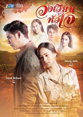 旋转的爱2021封面图