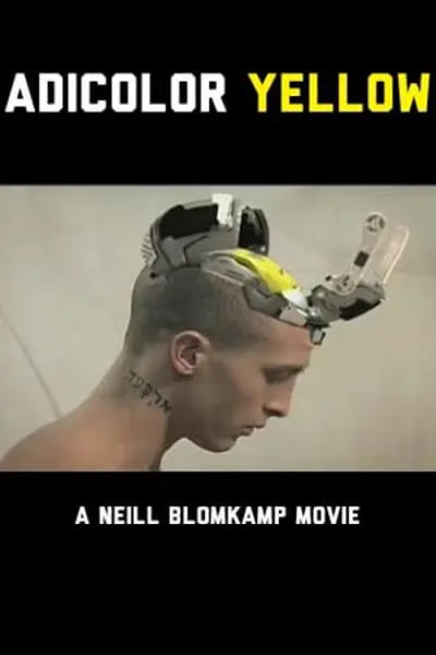 黄色 2006封面图