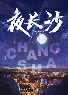 夜长沙封面图