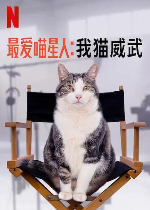 最爱喵星人：我猫威武封面图