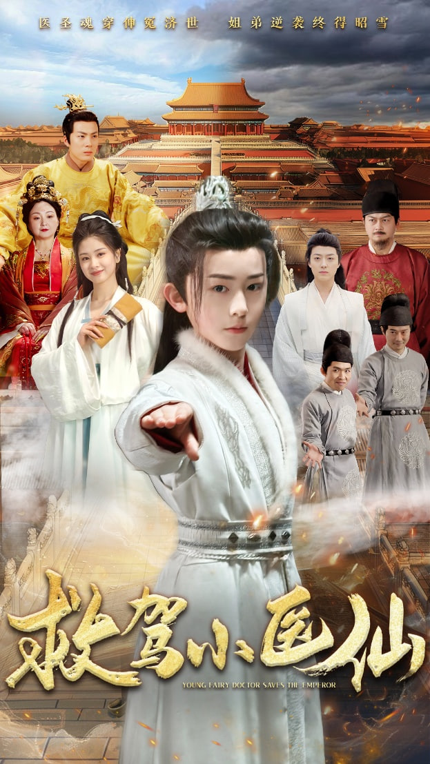 救驾小医仙封面图