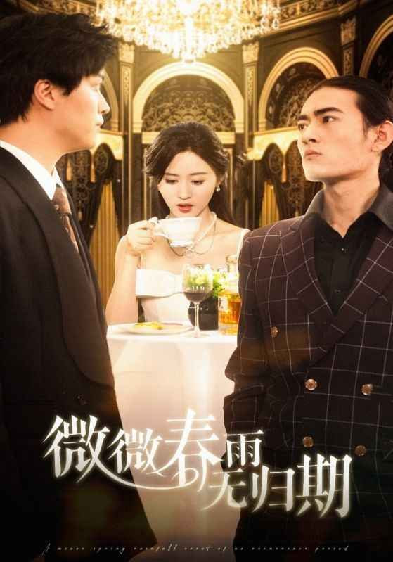 微微春雨无归期封面图
