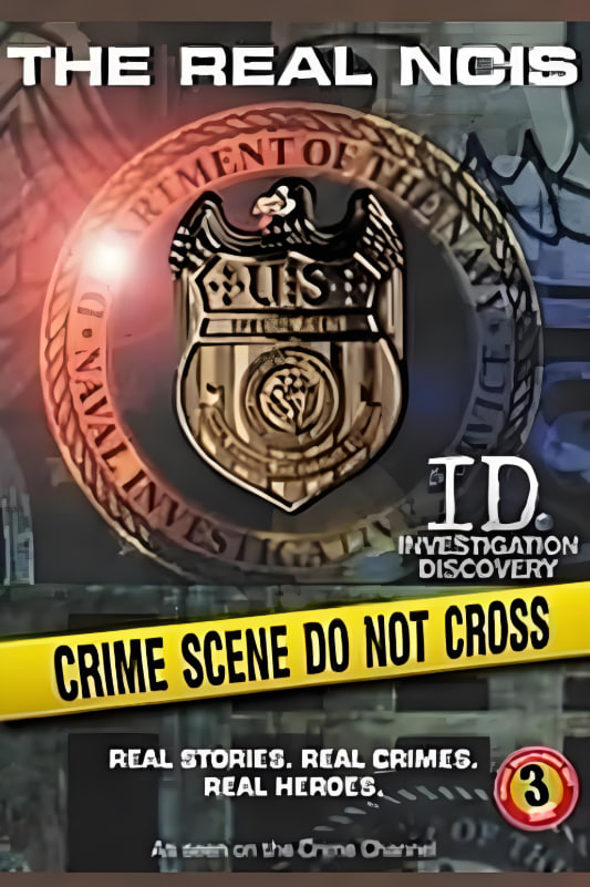 48小时：海军罪案调查处 第一季封面图