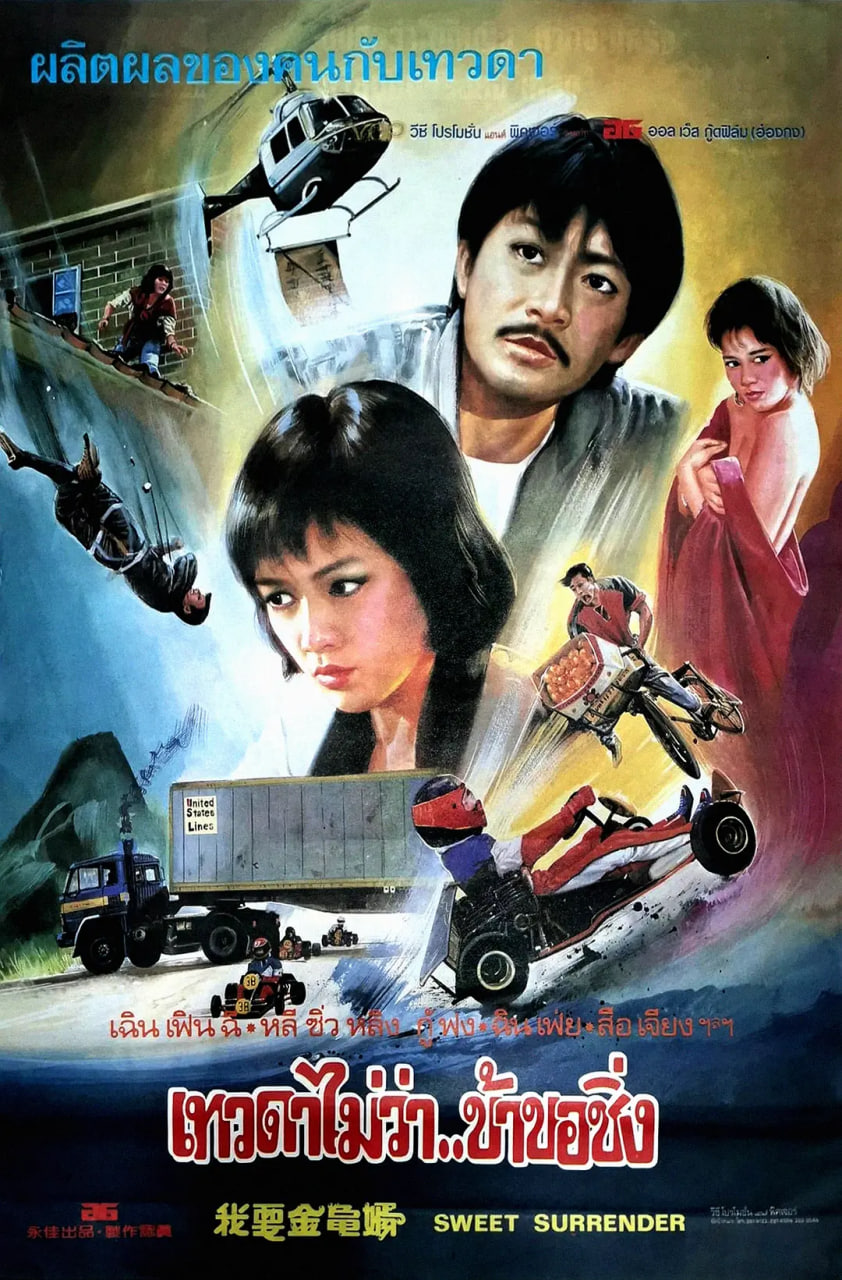 我要金龟婿封面图