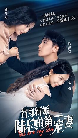替身新娘：陆总的第一宠妻封面图
