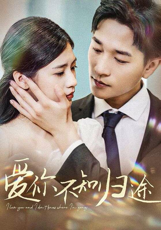 爱你不知归途（爱你漫漫长路）封面图