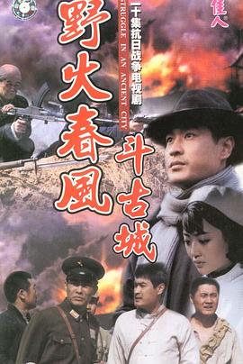 野火春风斗古城封面图