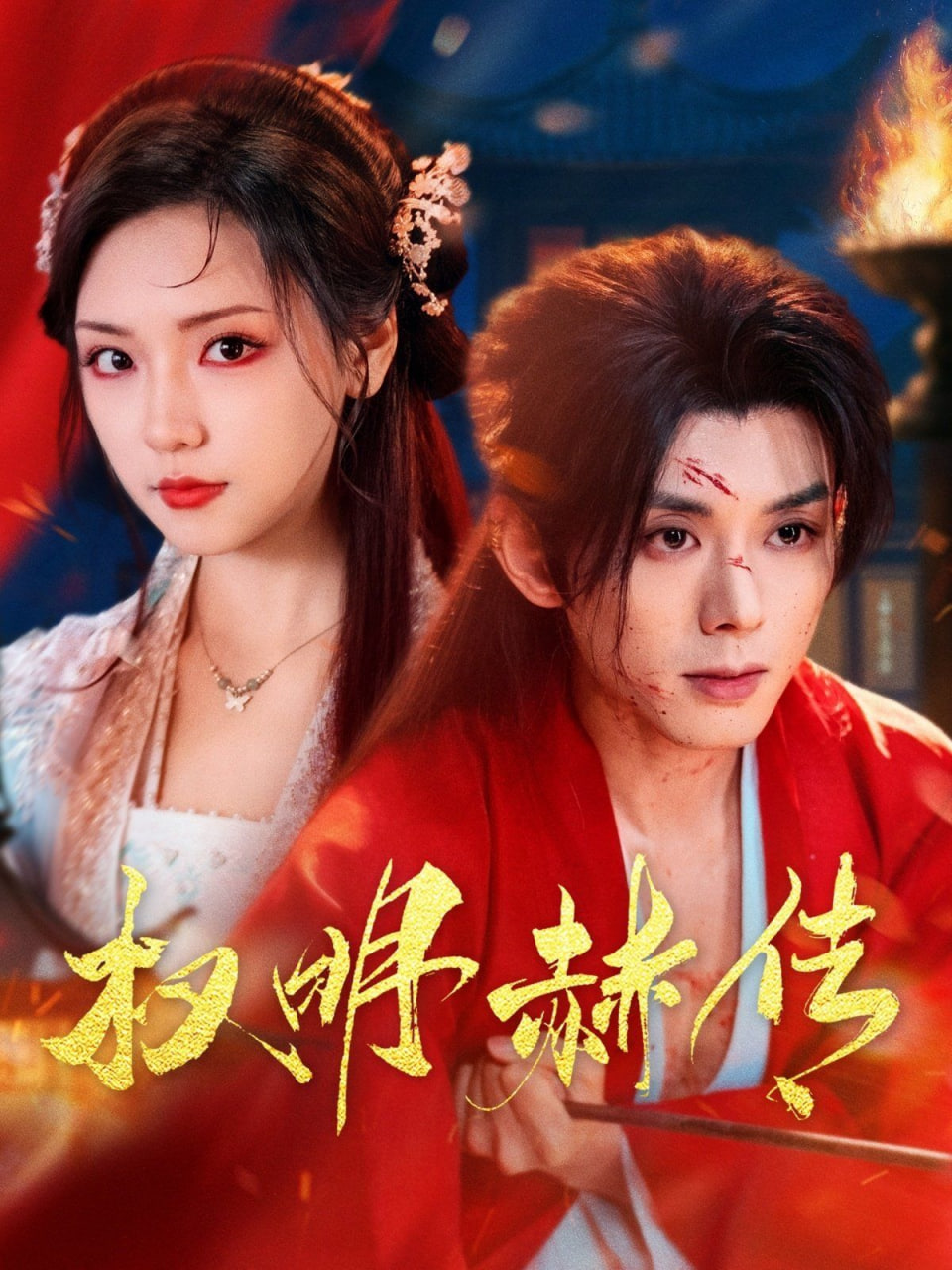 权明赫传封面图