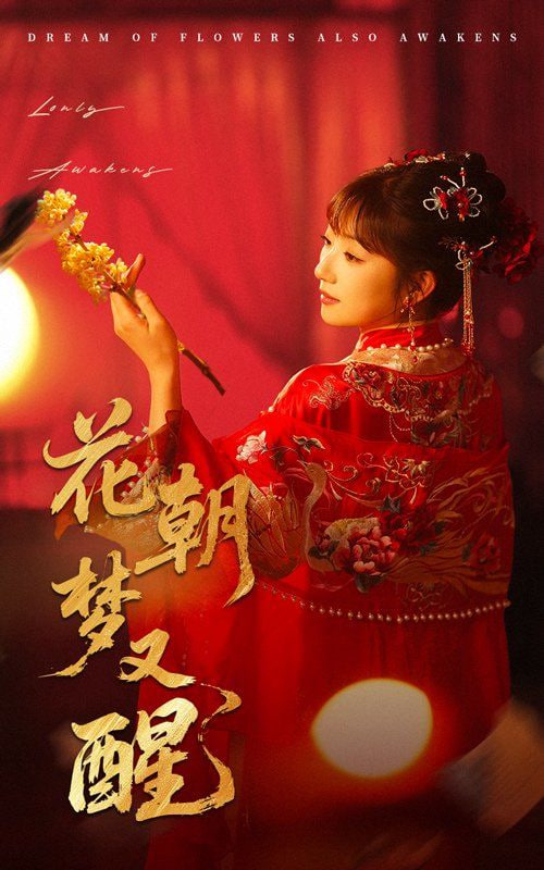 花朝梦又醒封面图