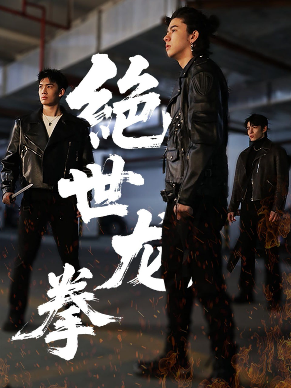 绝世龙拳封面图