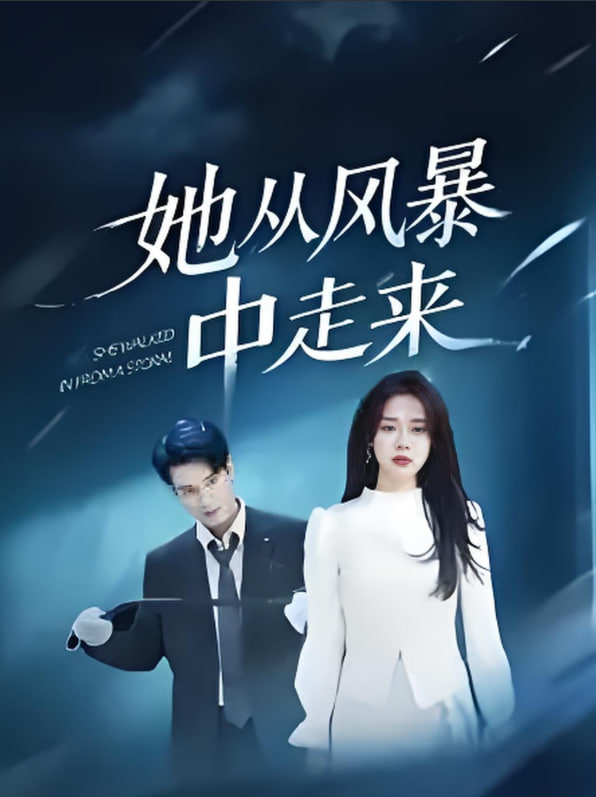 她从风暴中走来封面图
