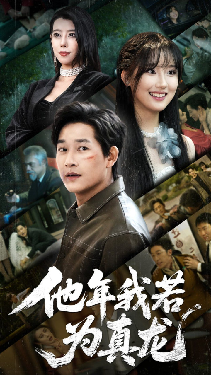 他年我若为真龙封面图