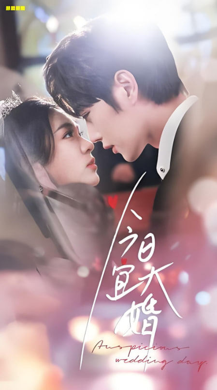 今日宜大婚封面图