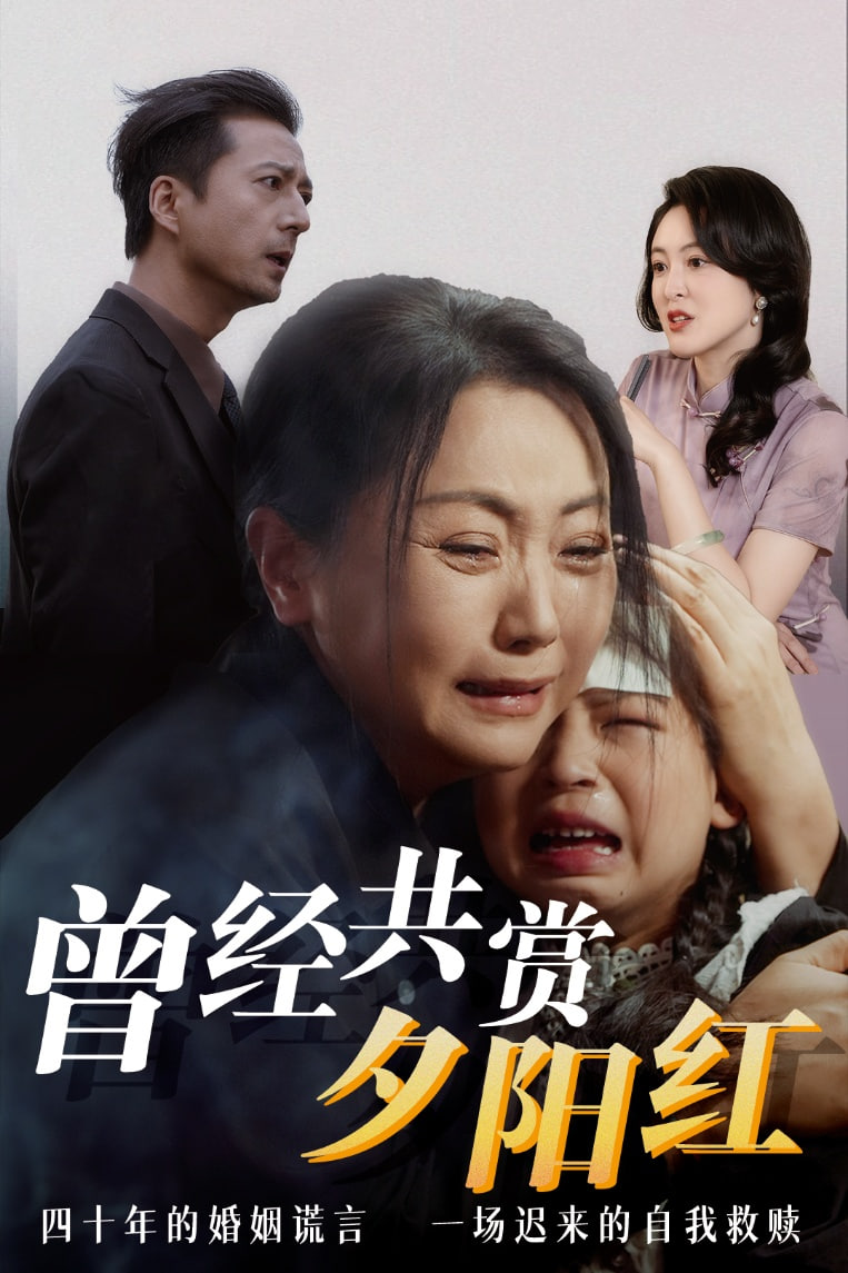 曾经共赏夕阳红封面图