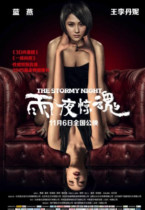 雨夜惊魂封面图