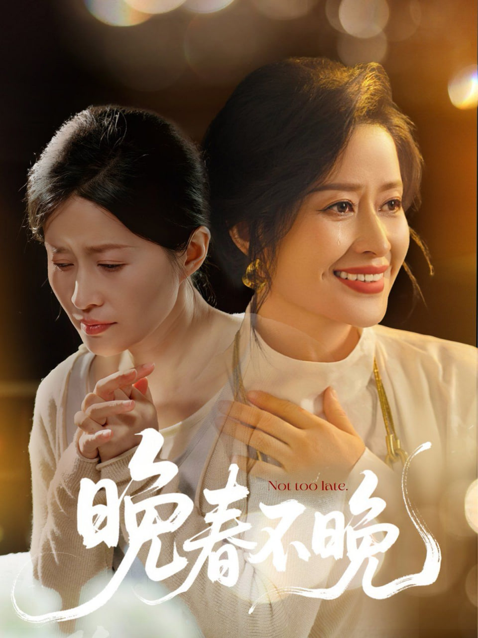 晚春不晚封面图