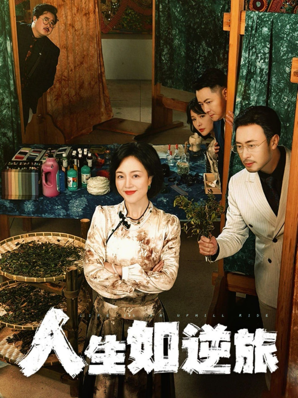 人生如逆旅封面图