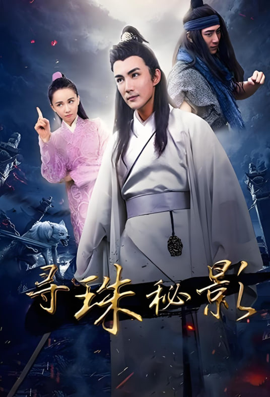 寻珠秘影封面图