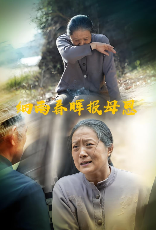 细雨春晖报母恩封面图