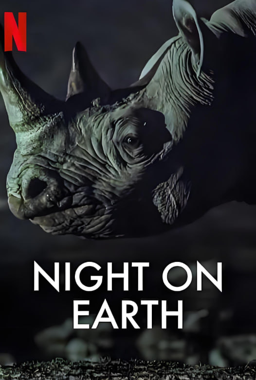 地球的夜晚封面图