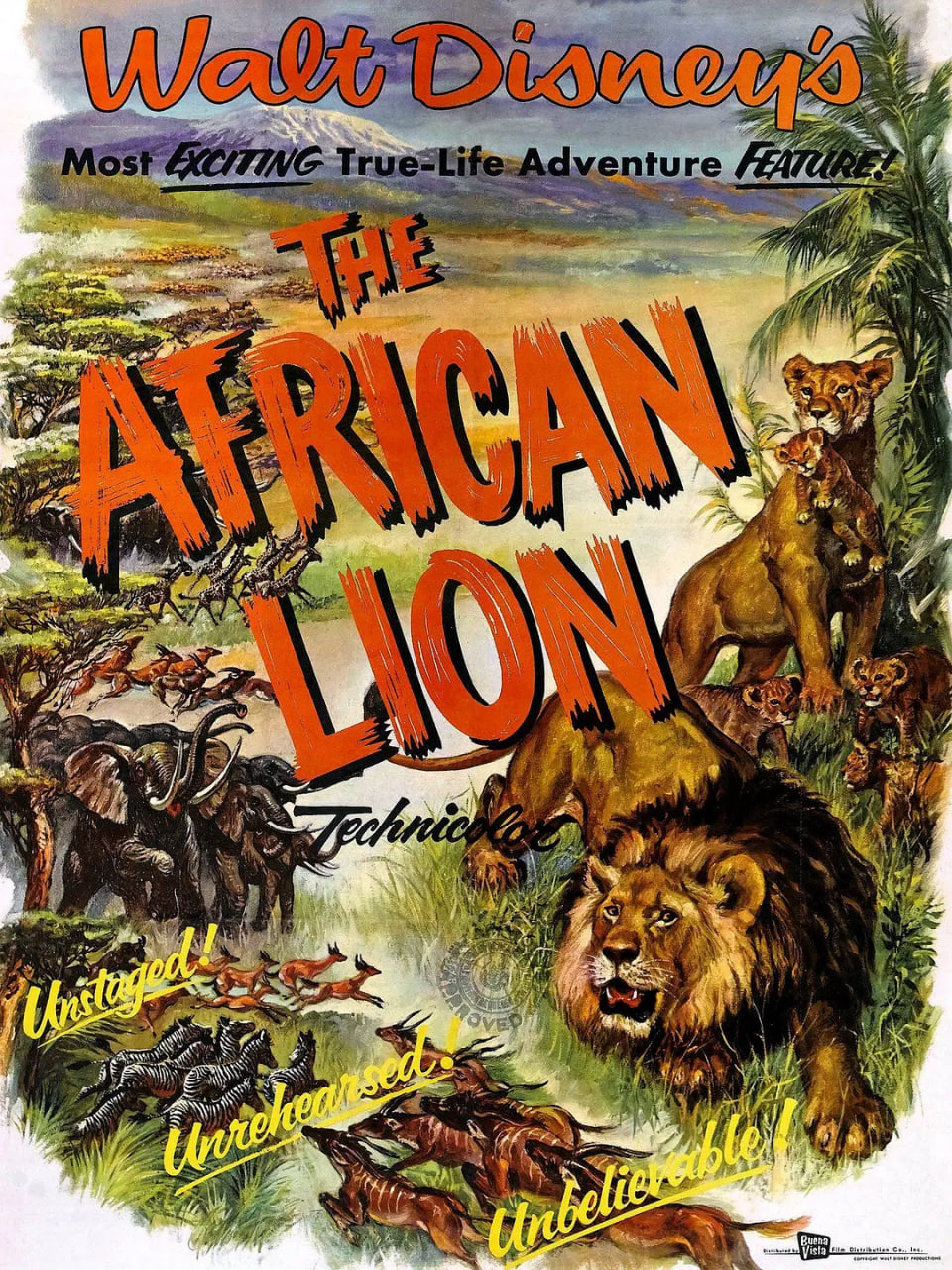 猛兽 1955封面图