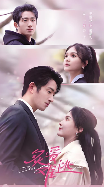 炙爱难逃封面图