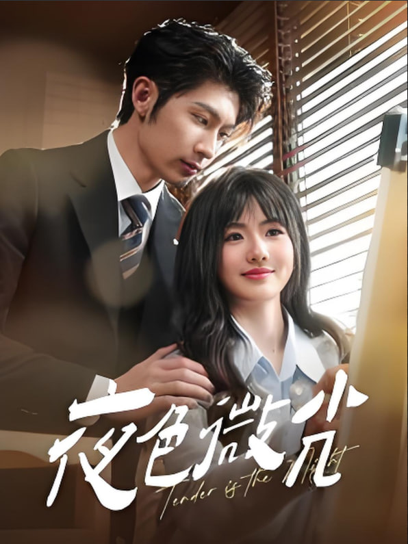 夜色微光封面图