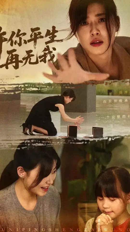 许你平生再无我封面图