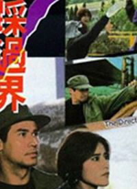 黄金部队封面图