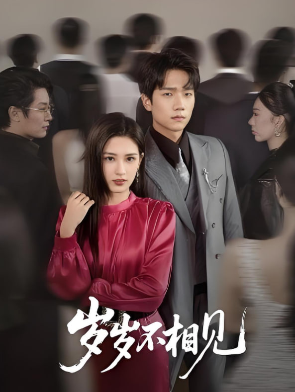 岁岁不相见封面图