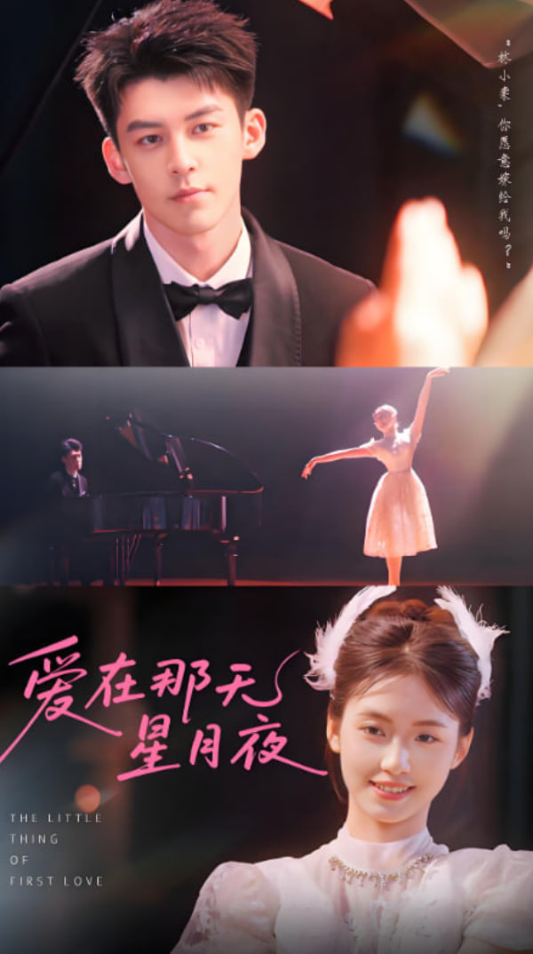 爱在那天星月夜封面图