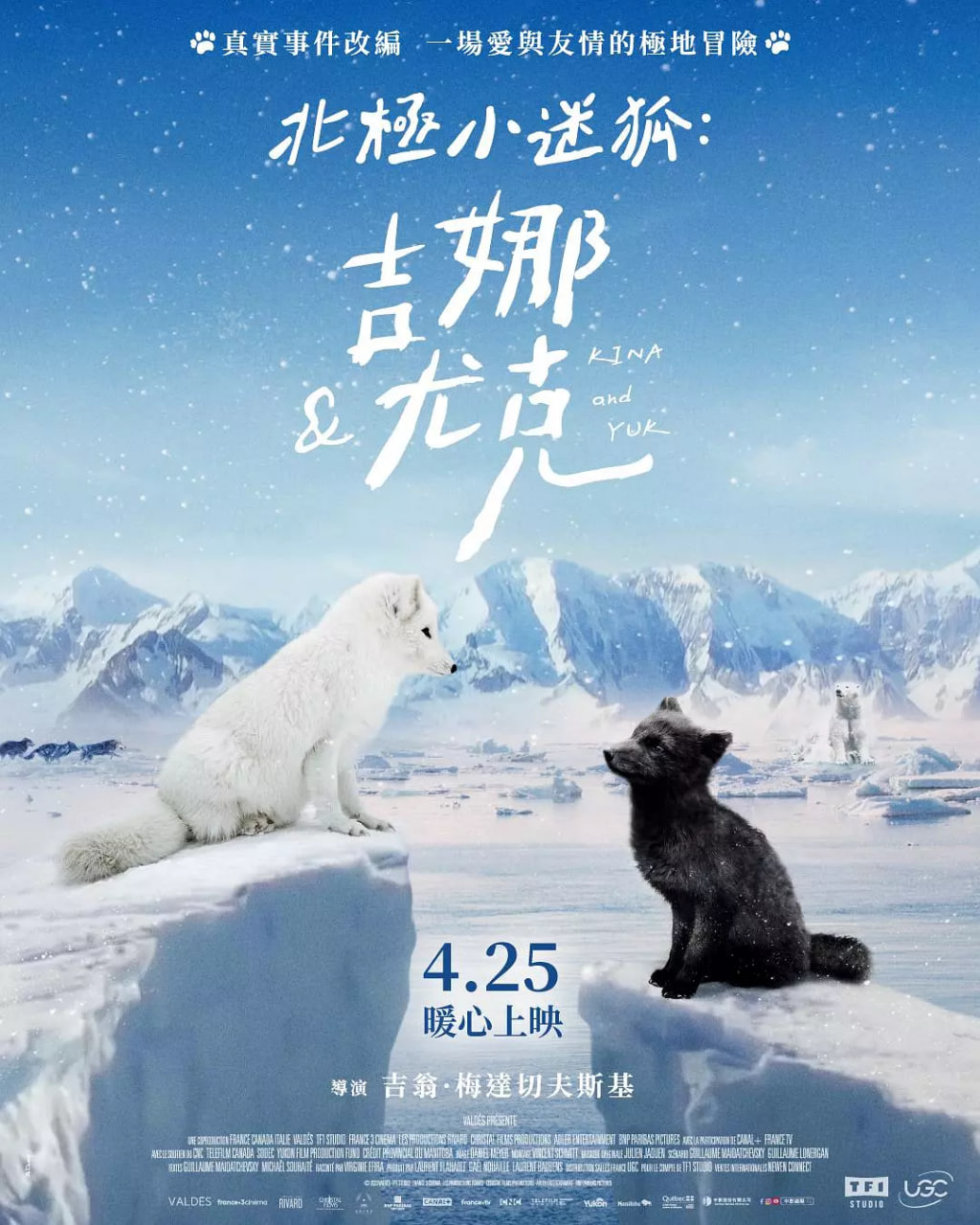 北极小迷狐吉娜，尤克封面图