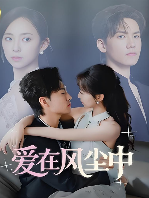 爱在风尘中封面图