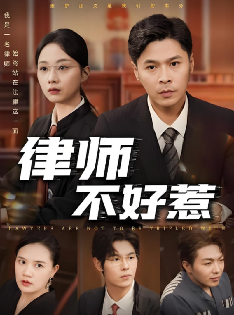律师不好惹封面图