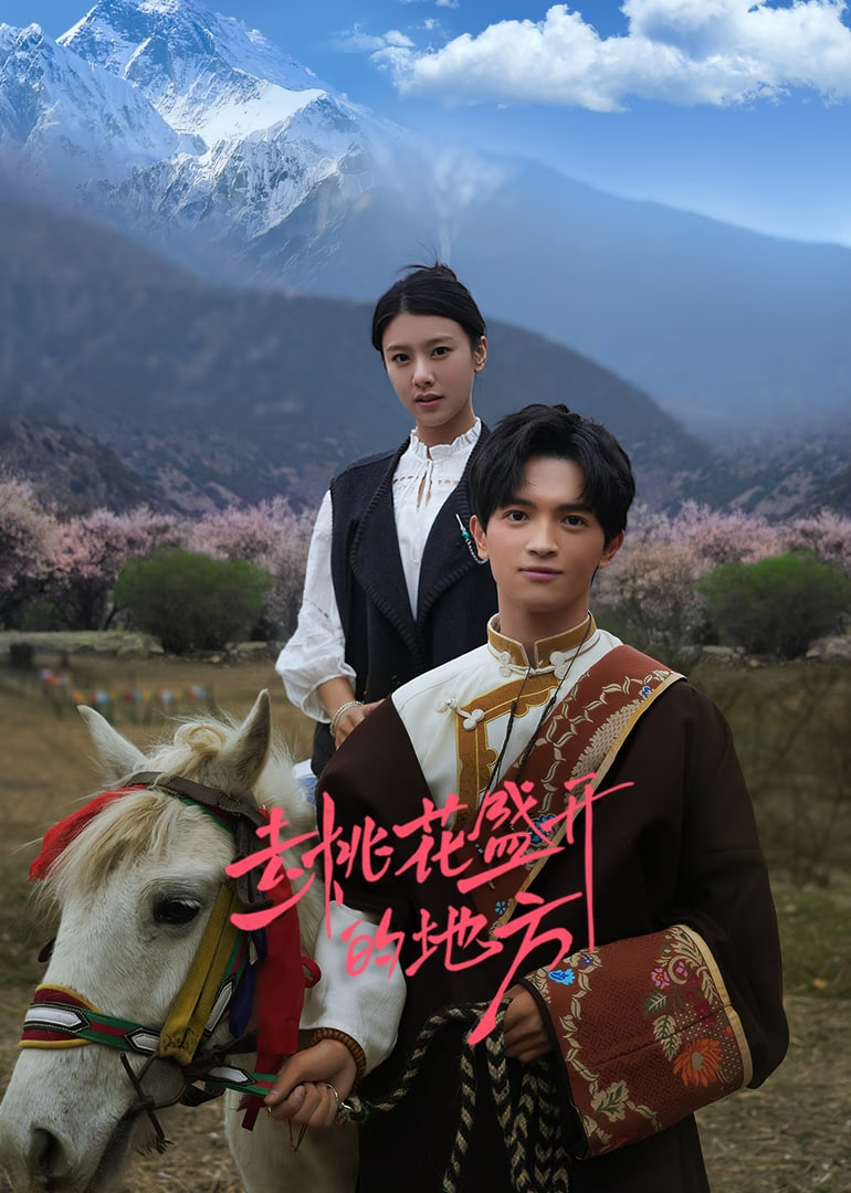 去桃花盛开的地方封面图