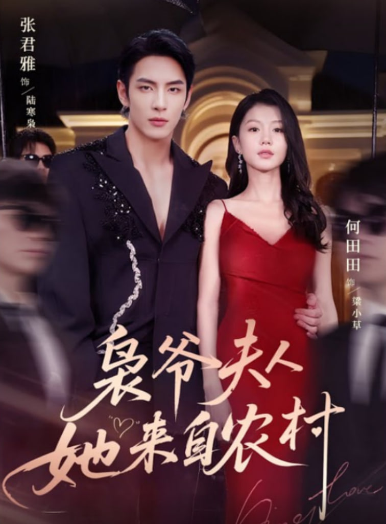 枭爷夫人她来自农村封面图