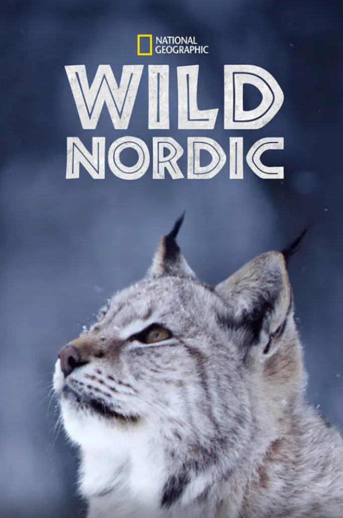 野性北欧 第一季封面图