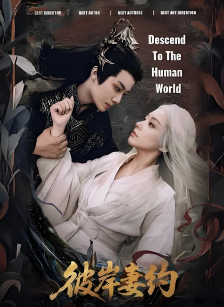 彼岸妻约封面图